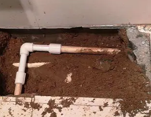 白城市测漏水哪家好