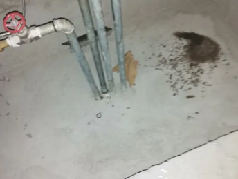 白城市卫生间测漏水价格明细